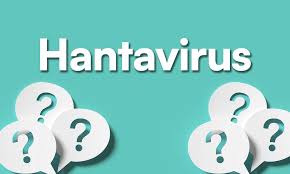 HANTAVIRUS